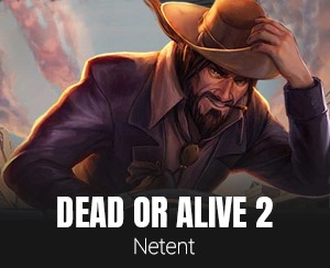 dead-or-alive-2-casino-game-in-fresh-bet